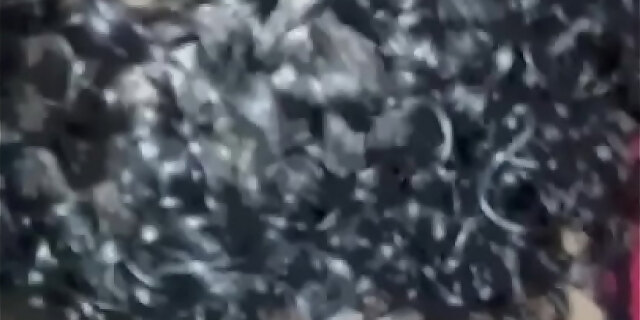 blowjob,neighbor